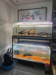 (Category: ) located in . Submitted by lsytSHOP (Listing ID 1287059706, Image 1). Description: .