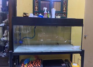 (Category: ) located in . Submitted by puterierika (Listing ID 1287045794, Image 1). Description: .