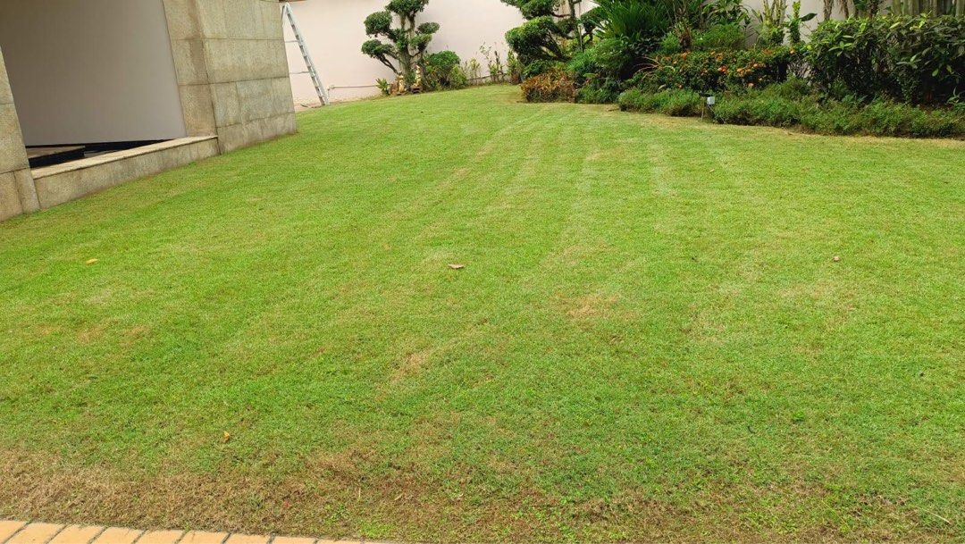 Garden maintenance64884980502017110