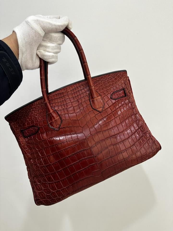 Nilo crocodile clearance