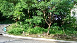 Sun Valley estate lot for sale in Antipolo