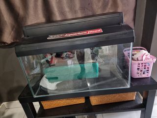 (Category: ) located in . Submitted by aisyahaqil (Listing ID 1287171329, Image 1). Description: .