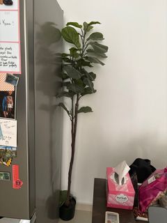 (Category: ) located in . Submitted by paintedsigns (Listing ID 1287175948, Image 1). Description: .