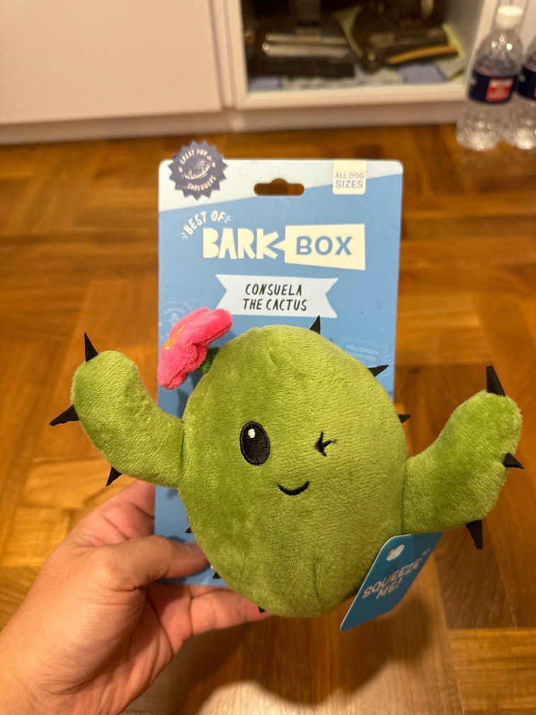 Cactus dog toy with sad cactus inside clearance