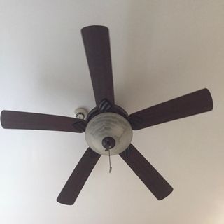 (Category: ) located in . Submitted by gapaholic (Listing ID 1287187500, Image 1). Description: .