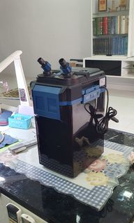 (Category: ) located in . Submitted by ishak22 (Listing ID 1287186779, Image 1). Description: .