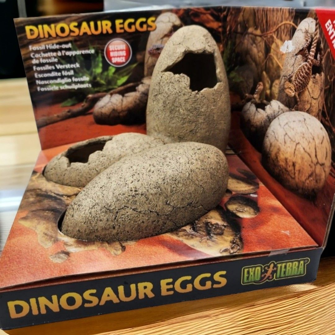 Exo Terra Dinosaur Eggs Fossil Hideout For Small Animals Pet Supplies Homes Other Pet Accessories on Carousell