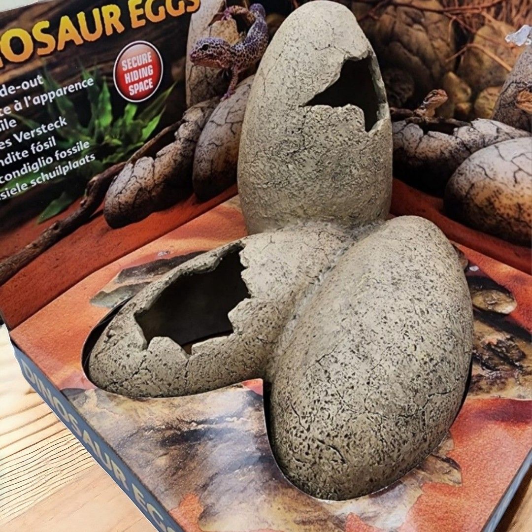 Exo Terra Dinosaur Eggs Fossil Hideout For Small Animals Pet Supplies Homes Other Pet Accessories on Carousell