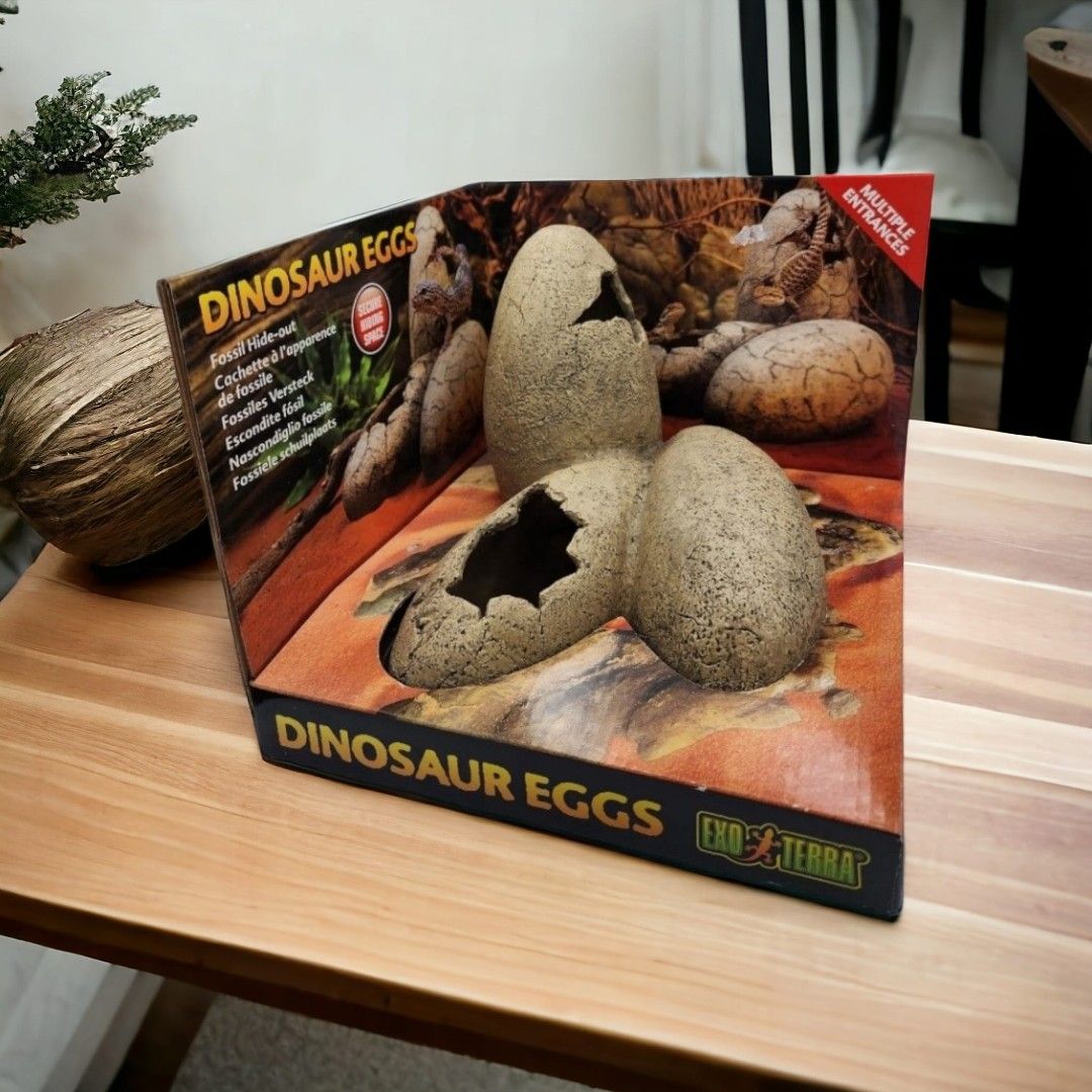 Exo terra dinosaur eggs shop