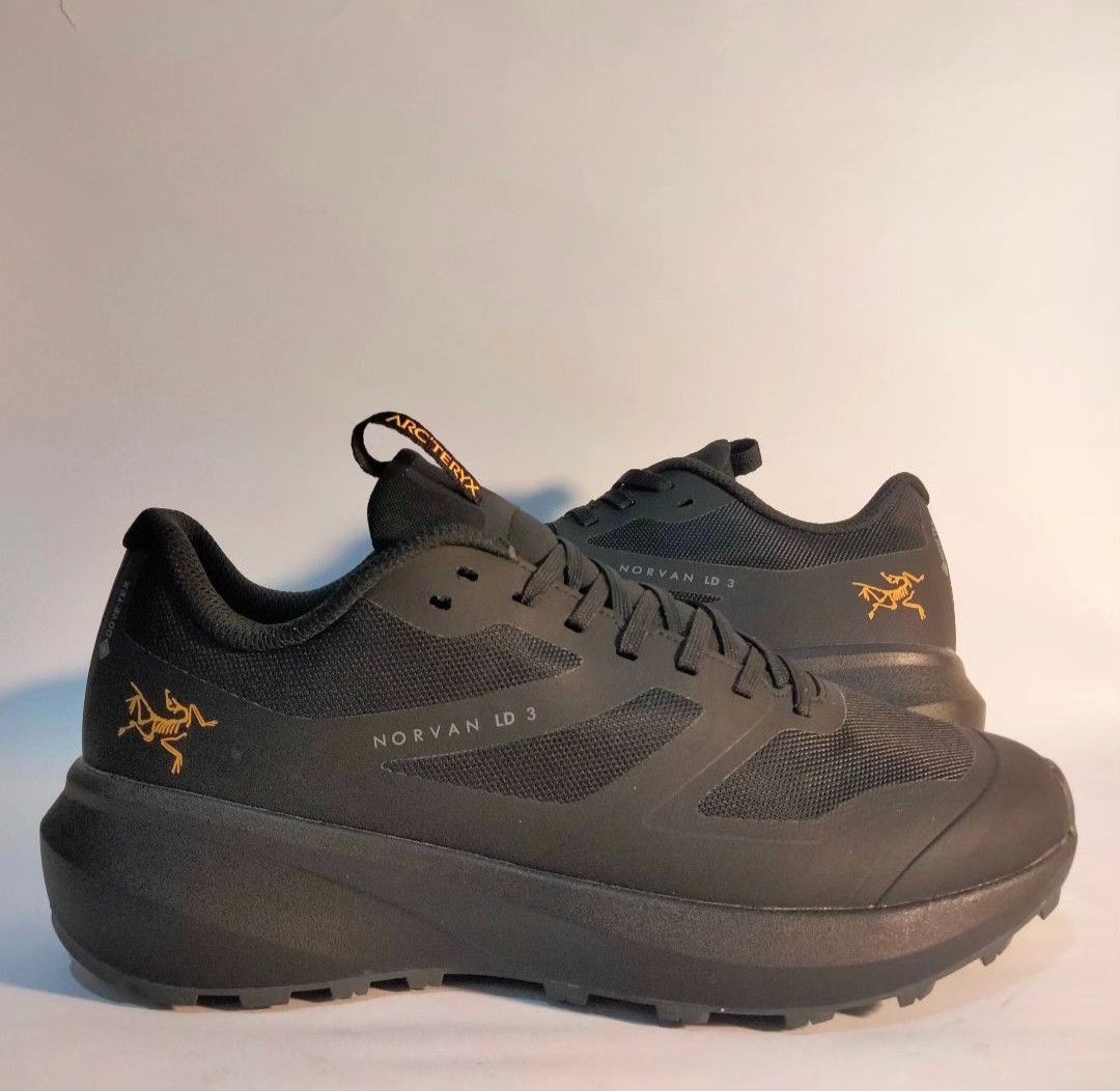 Norvan LD GTX Shoe Men's