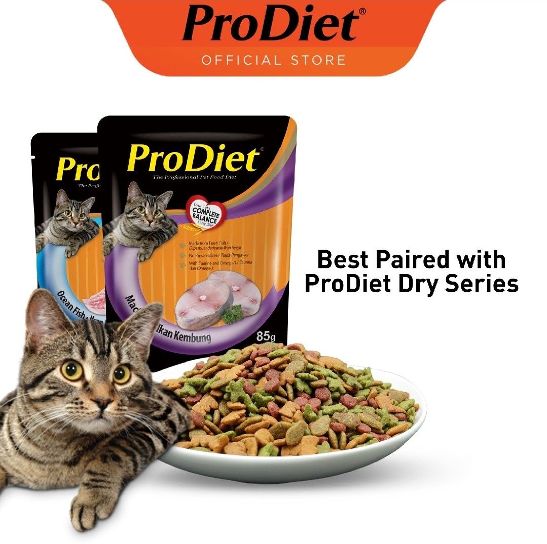 PROMO ProDiet Wet Cat Food Ocean Fish 48packs CHEAPEST Pet Supplies Pet Food on Carousell