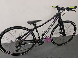 Carousell bicycle 2025