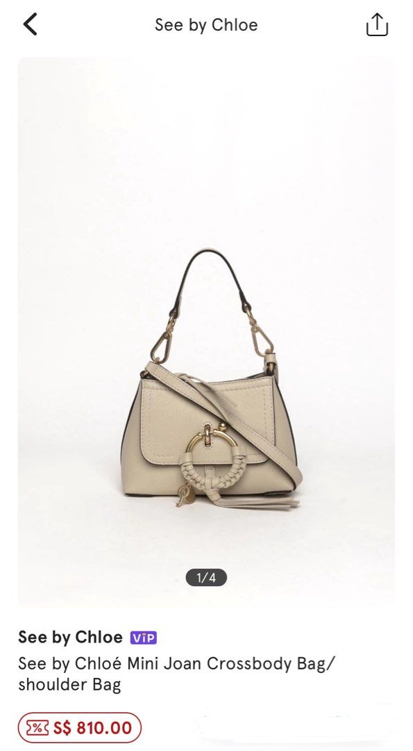 Chloe mini sales leather bag