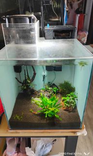 (Category: ) located in . Submitted by silent_store17 (Listing ID 1287379505, Image 1). Description: .