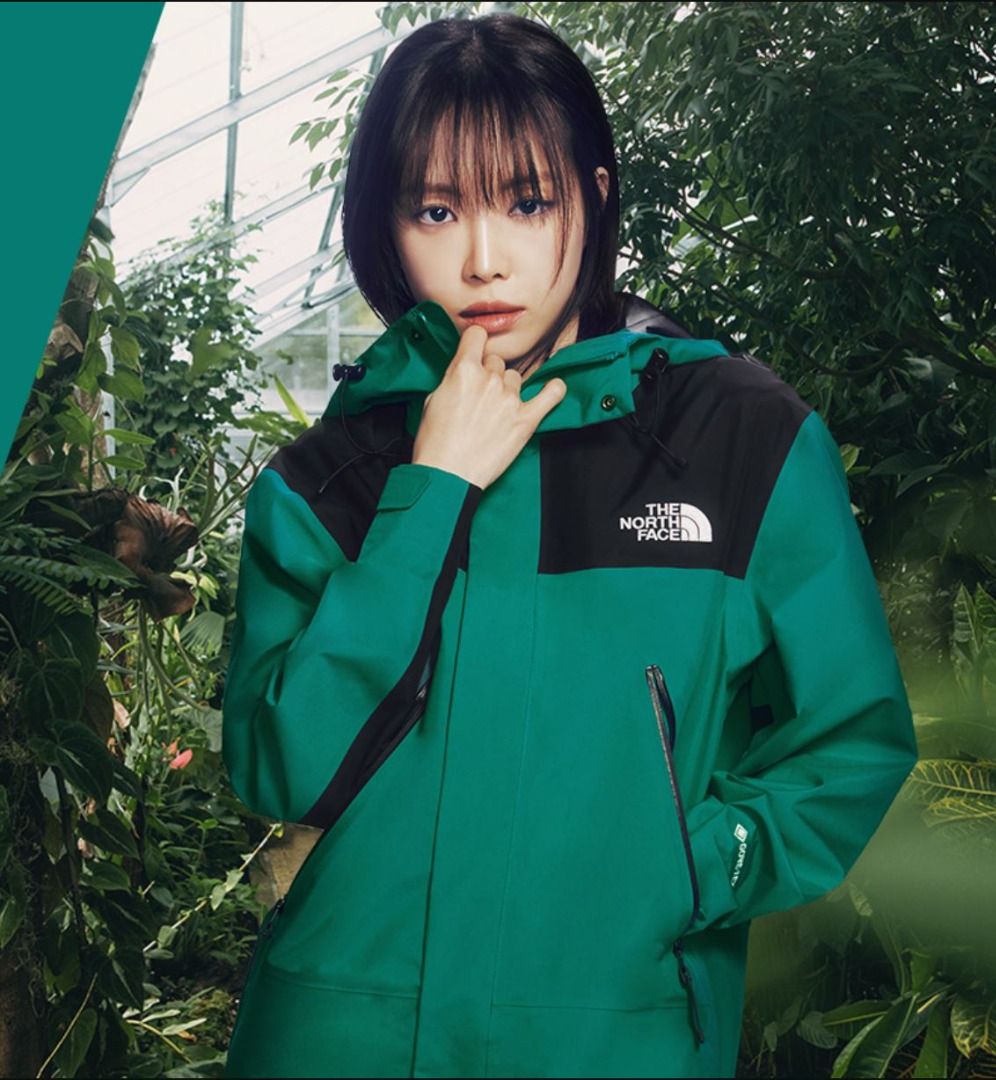 The north face zip in gore outlet 2l shell