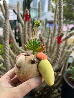 （分類：）位於 。 由 florlaw 提交（商品編號 1287557599，圖片 1）。簡介： 。