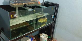 (Category: ) located in . Submitted by sikeras (Listing ID 1287680256, Image 1). Description: .