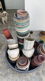 Assorted Used Pots