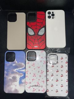 Iphone 12 pro max case take all