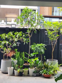(Category: ) located in . Submitted by karenkhoo (Listing ID 1287378231, Image 1). Description: .