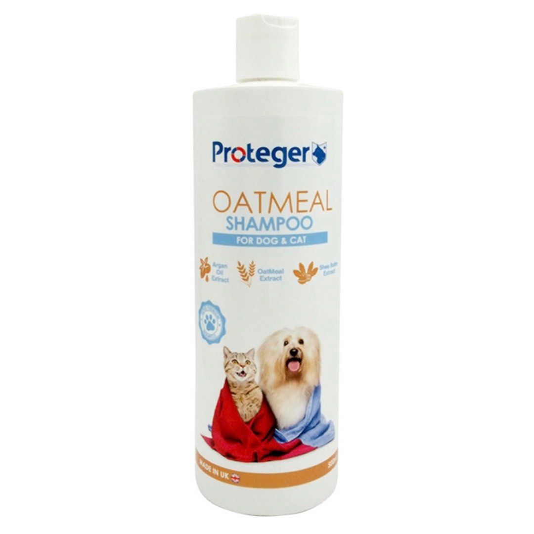 Homemade oatmeal shampoo for cats store