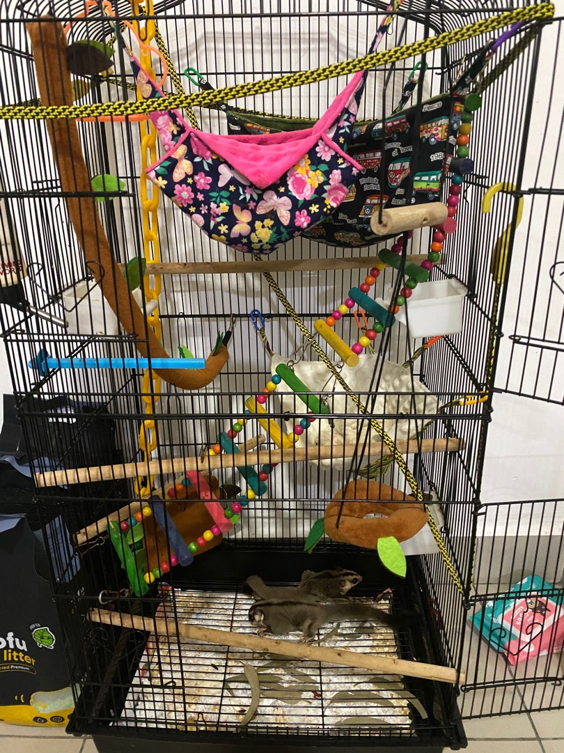 Sugar Glider Cage BIG Urgent sale