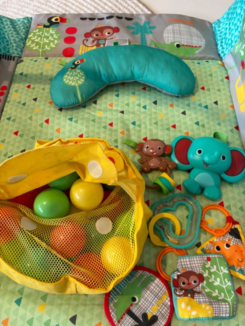 Animal top play gym
