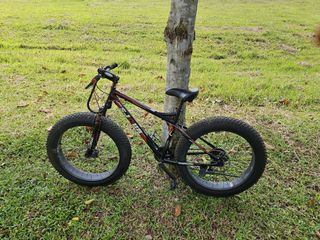 Carraro fat bike hotsell 26