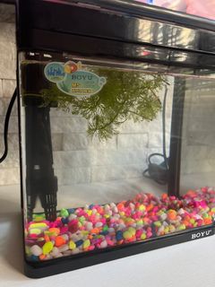 (Category: ) located in . Submitted by firhart (Listing ID 1287787173, Image 1). Description: .