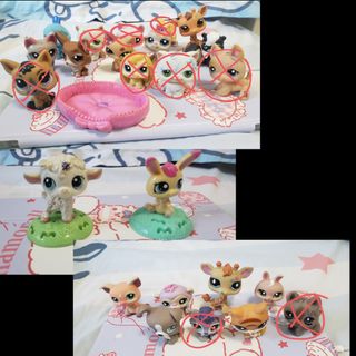 (Category: ) located in . Submitted by xiqian (Listing ID 1287748249, Image 1). Description: .