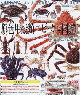 （分類：）位於 。 由 rainingday889900 提交（商品編號 1287792439，圖片 1）。簡介： 。