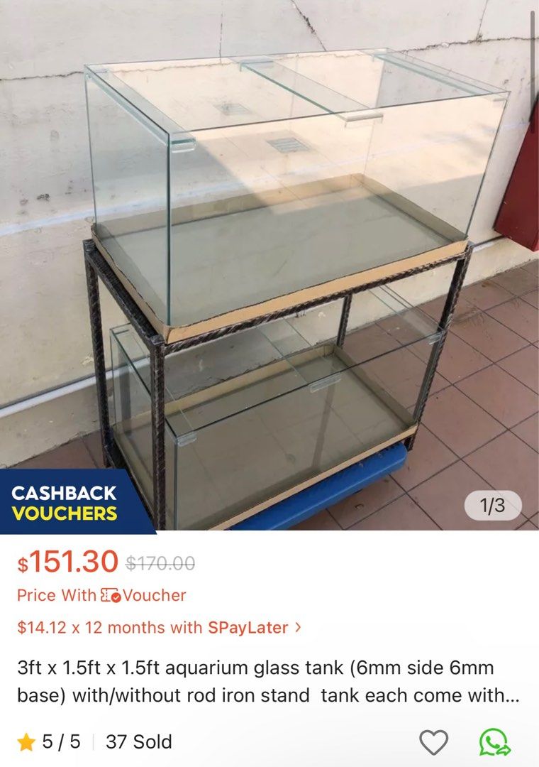 Glass tank for sales hamster