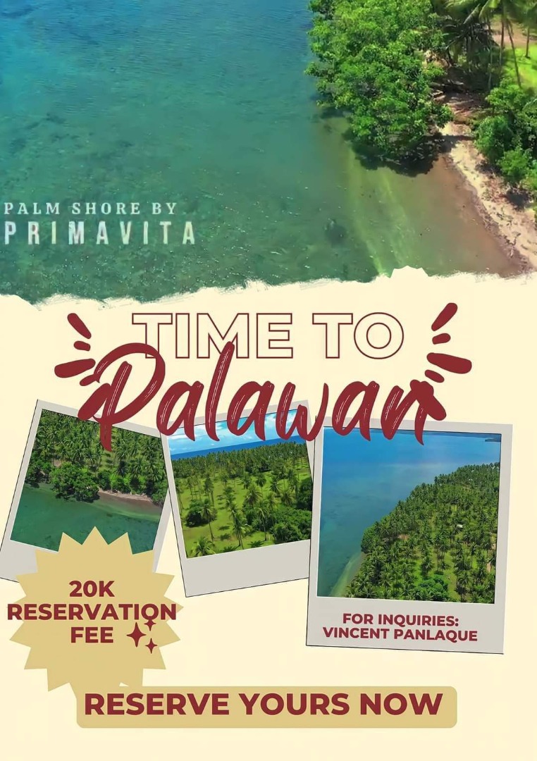 Lot in Darapidap, Candon City, Ilocos Sur, Property, For Sale, Lot on