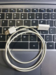 Apple usb extension  (pro cable)