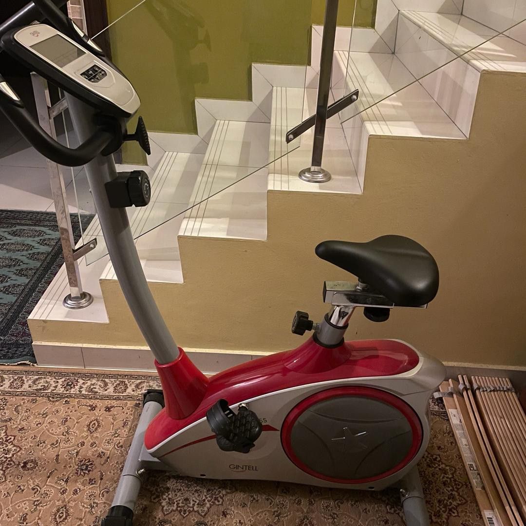 Gintell magnetic bike cheap
