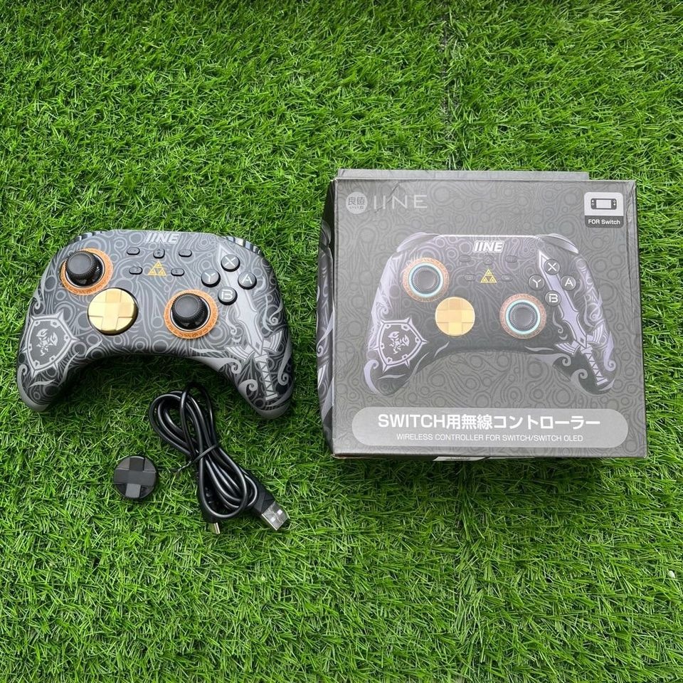 Botw pro controller 2025