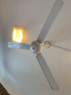 (Category: ) located in . Submitted by rcpayal (Listing ID 1287998958, Image 1). Description: .