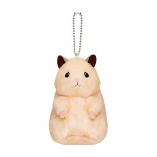 （分類：）位於 。 由 jinvinbin 提交（商品編號 1287909040，圖片 1）。簡介： 。
