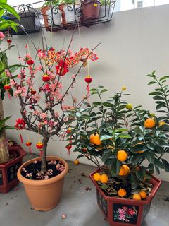 (Category: ) located in . Submitted by helen149 (Listing ID 1287954814, Image 1). Description: .