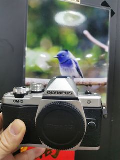 （分類：）位於 。 由 shamwo_114 提交（商品編號 1135717548，圖片 1）。簡介： 。