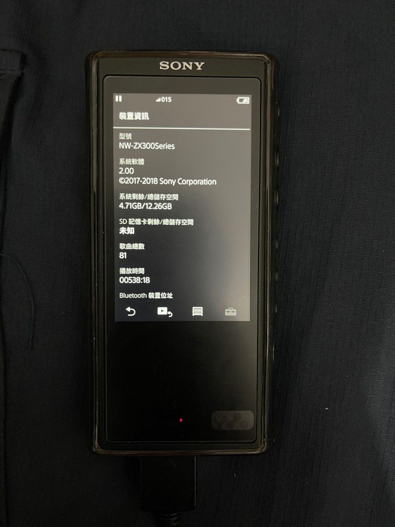 Sony NW-ZX300A 16GB內存, 音響器材, 音樂播放裝置MP3及CD Player