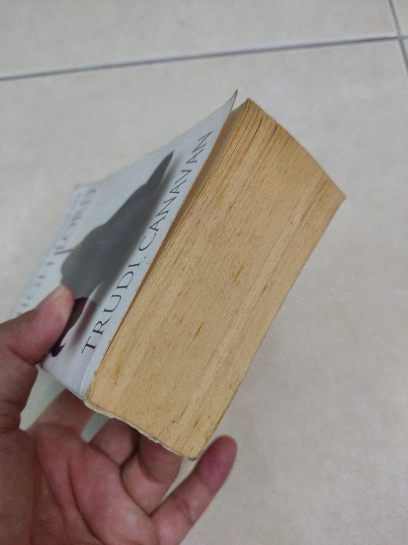 Used The High Lord by Trudi Canavan (High Fantasy / YA / Magic