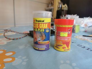 （分類：）位於 。 由 dordormeow 提交（商品編號 1283671041，圖片 1）。簡介： 。