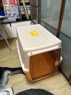 （分類：）位於 。 由 panok26102016 提交（商品編號 1283767065，圖片 1）。簡介： 。