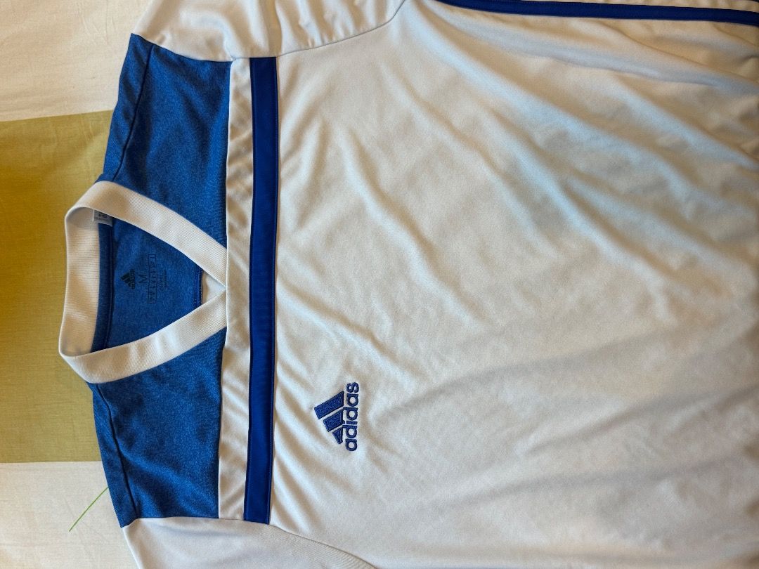 Regista 18 shorts on sale