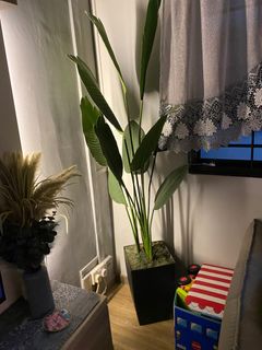 (Category: ) located in . Submitted by cheen92 (Listing ID 1283761405, Image 1). Description: .