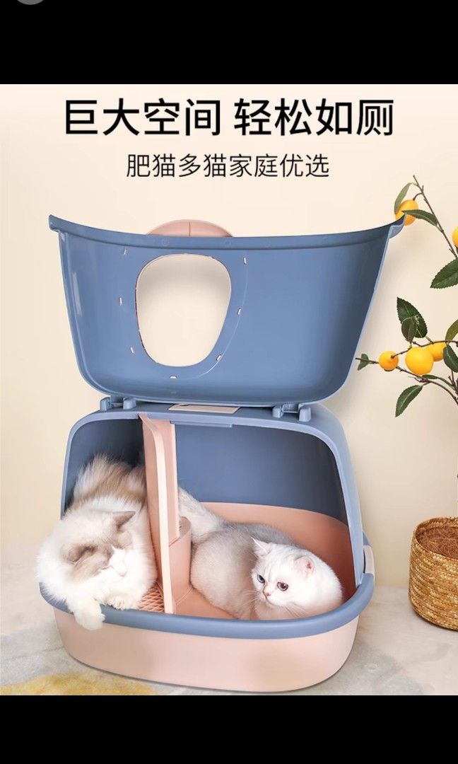 Cat litter removal sales