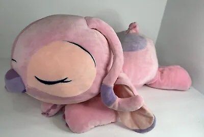 Angel cuddleez 2025