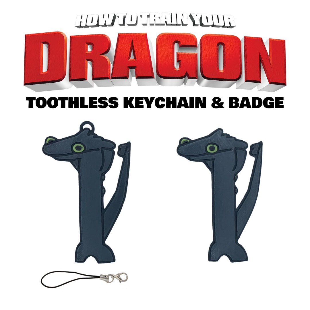 HTTYD Toothless Dancing Meme Keychain/Charm & Badge, Hobbies