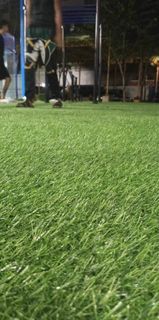 Korean Grade Premium Fake Grass Artificial Grass
